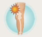Low Back Pain