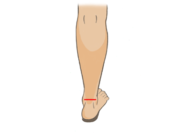 pronation-supination