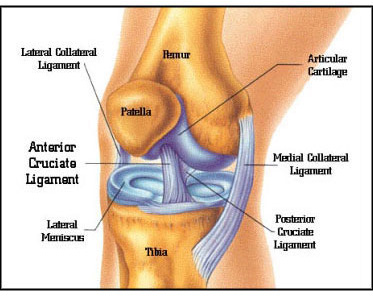 Knee pain